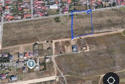 Veterani , ideal cartier de blocuri - 1