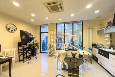 Cotroceni | Pretabila Clinica - Spa | Vila eleganta  | Terasa - 16