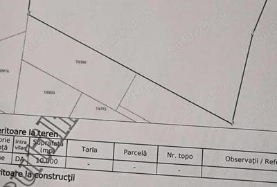 Teren de 10000 mp, în Central - 7
