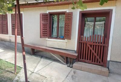 Vand casa cu gradina sat Bobalna Hunedoara - 5