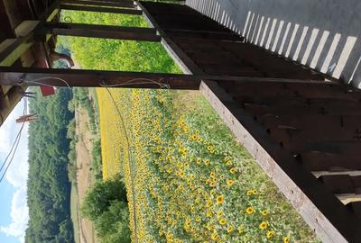 Casa cu etaj de vanzare . - 4