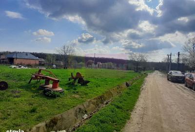 Spațiu comercial, în Buturugeni - 3