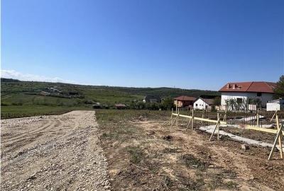 Casă cu 3 camere cu Teren 530 Mp în Paleu - 2