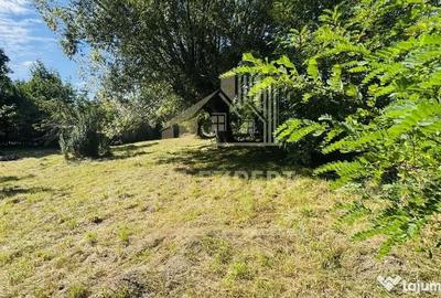 Teren de 3234 mp, în Lerești - 16