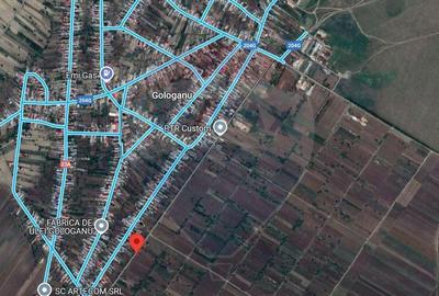 Teren intravilan ,4486mp in Gologanu - 2