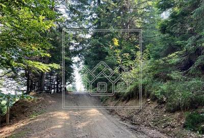 Teren de vanzare - 11200 mp - extravilan - zona turistica - 6