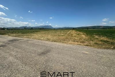 Teren Construcții extravilan de 5000 mp, în Râșnov Romacril - 6