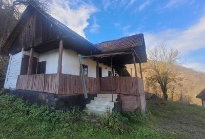 Spațiu comercial, în Săliștioara