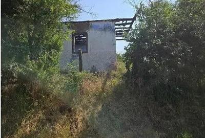 Casa si teren Cucuruzu, ID: R2609648 - 12