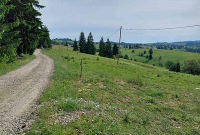 Teren Construcții extravilan de 10450 mp, în Tiha Bârgăului - 8