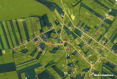 Casa veche, toate utilitatile, Pata, 5808 mp, tot intravilan, front 19,4m - 10