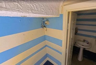 Centru Istoric parter 182 mp terasa trafic intens - 1