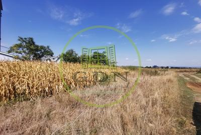 Teren Construcții intravilan de 5840 mp, în Oșorhei - 4