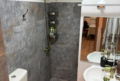 Apartament cu 2 camere semidecomandat în Colentina - 14