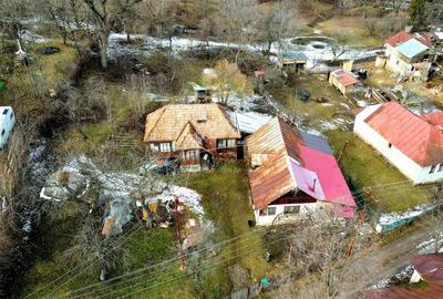 Teren Construcții intravilan de 3948 mp, în Provița de Sus - 2