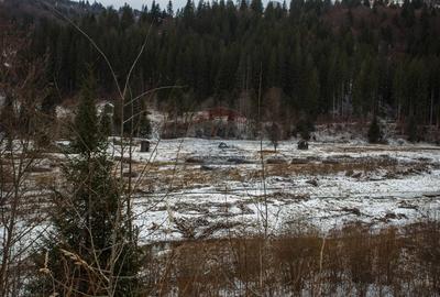 Teren intravilan de 49000 mp, în Borca - 6