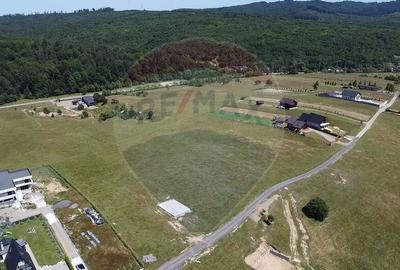 Teren 3,757mp Paltinoasa / Strada principala - 12