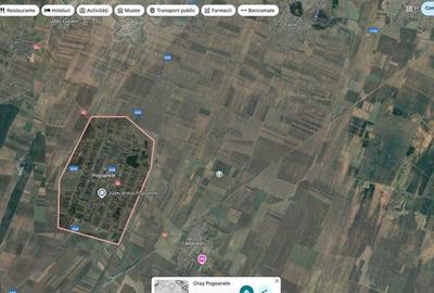 Teren de 1200 mp, în Pogoanele - 10