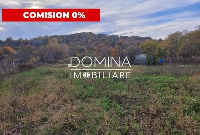 Teren Construcții intravilan de 4967 mp, în Bălești - 1