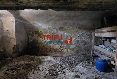 Casă cu 4 camere cu Teren 5000 Mp în Cricău - 9