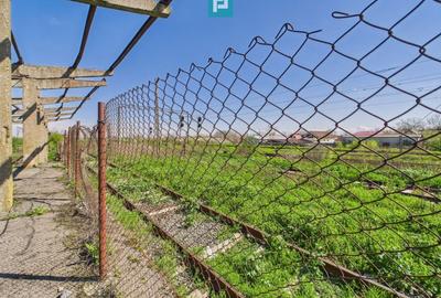 Spațiu industrial, de 1,690 mp, în Orțișoara - 10