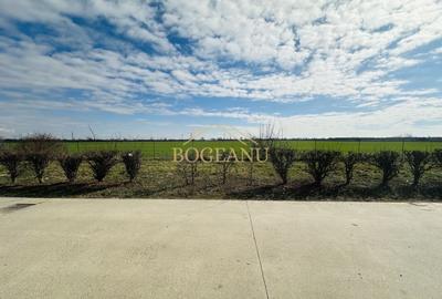 Teren agricol extravilan de 46400 mp, în Giroc - 5