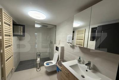 Casă cu 5 camere cu Teren 3500 Mp în Viile Satu Mare - 16