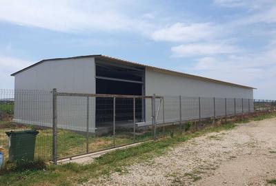 Popesti - hala noua pt depozitare/productie - 220mp - 3