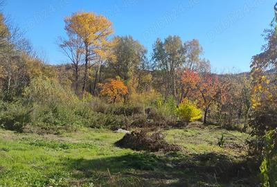 De vanzare doua case ,grajd si teren - 3