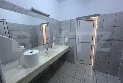 Birou, de 480 mp, în Brazda lui Novac - 19