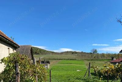 Casă cu 2 camere în Central