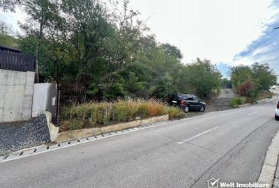 Oportunitate investitie, teren 5800 MP/32 ML, Dezmir Oportunitate investitie, teren 5800 MP/32 ML, Dezmir - 4