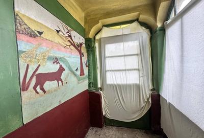 CASUTA DE VANZARE - TEREN 1000 MP - CONTESTI - 18