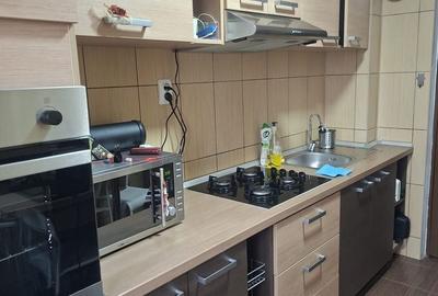 Apartament 2 camere de vanzare Gorjului-Rasaritului - 9