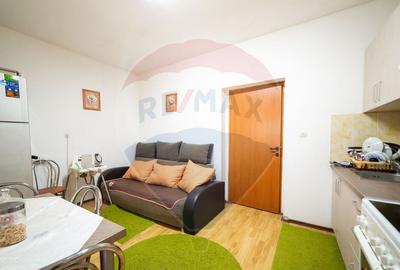 Imobil renovat, 2 apartamente, gradina ?i garaj Turnu - 9