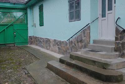 Locuin?a ideala pentru via?a rurala sau turism Dane?, Mure? - 6