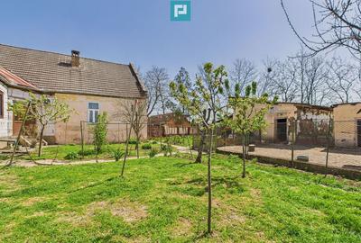 Casa cu Gradina Mare la 30 km de Timi?oara - 6