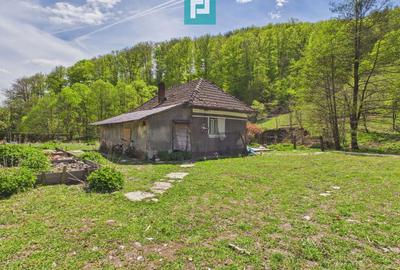 Teren Construcții intravilan de 13199 mp, în Luncoiu de Jos - 8
