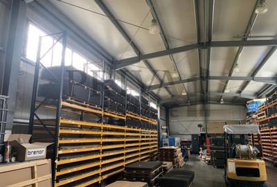 Spațiu industrial, de 500 mp, în Torontalului - 1