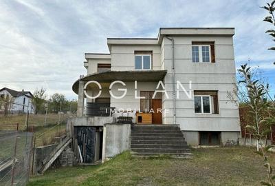 Casă individuală cu 8 camere în Turnișor