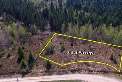 Teren intravilan 2,145mp Calatele Padure, Sat de  Vacanta - 2