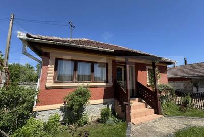 Casă cu 4 camere cu Teren 13000 Mp în Primăverii - 5