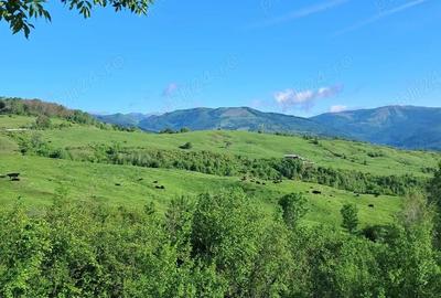 Teren de 2500 mp, în Central - 3