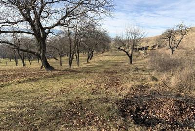 Spațiu comercial, în Huedin - 5