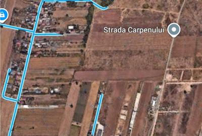 Vanzare Teren 11HA Popesti Leordeni Pretabil Logistica sau Rezidential - 3