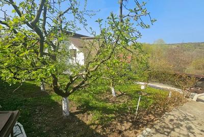 VILĂ ELEGANTĂ CU PRIVELIȘTE DEOSEBITĂ – VALENII DE MUNTE - 3