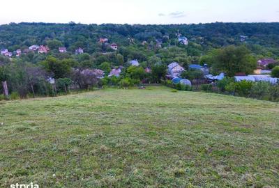 Teren de 2000 mp, în Bucovăț - 4