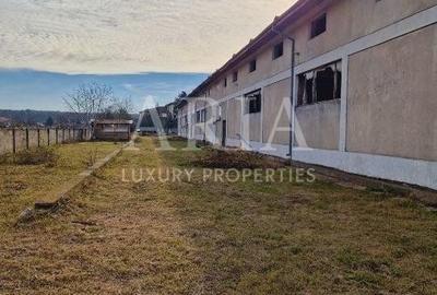 VANZARE VILA | HALA IN VLADICEASCA | SNAGOV | 10.500 MP TEREN - 16