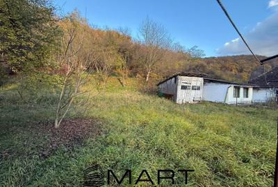 Casă individuală cu 3 camere cu Canalizare în Sighișoara - 16