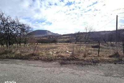 Teren de 3800 mp, în Mirșid - 3